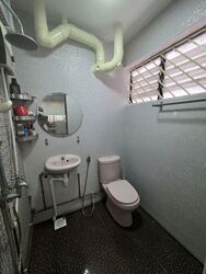 Blk 123 Mcnair Spring (Kallang/Whampoa), HDB 3 Rooms #561802881